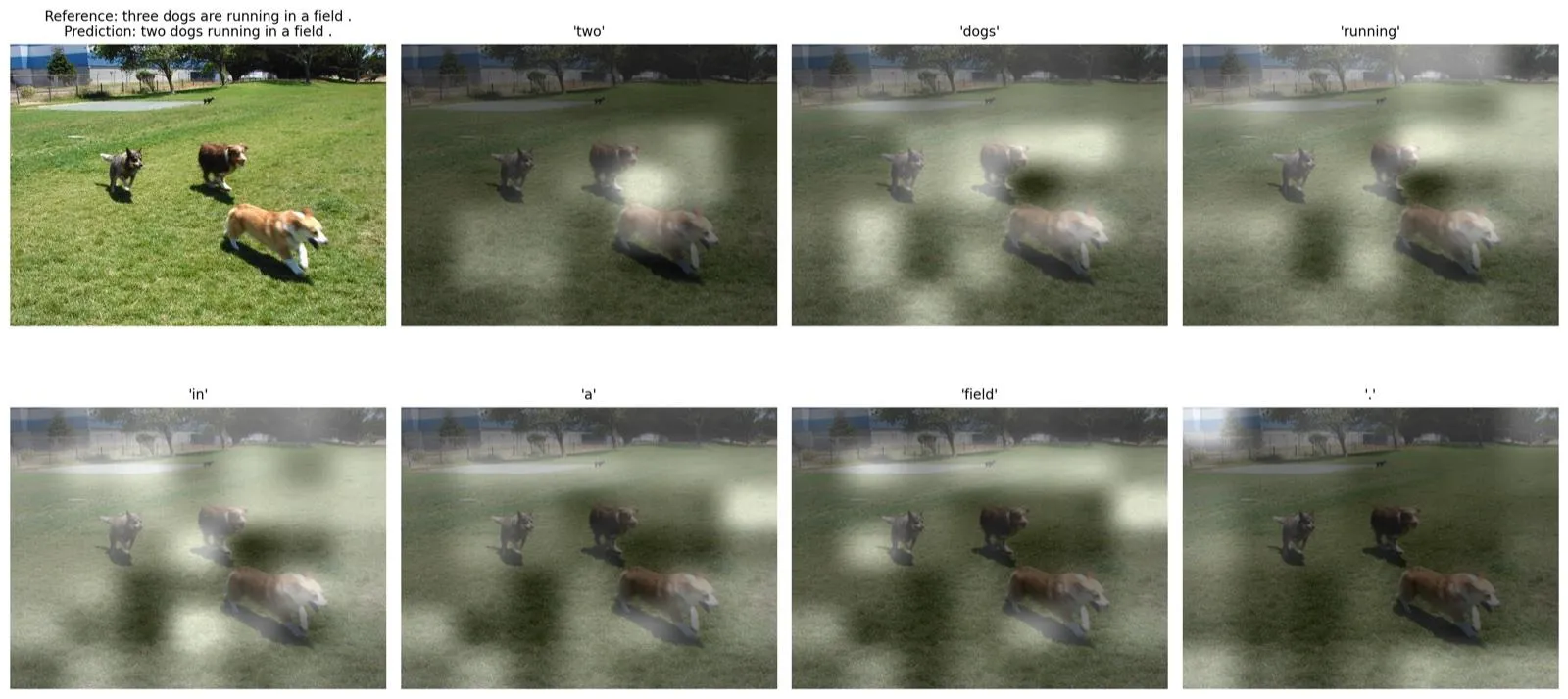 Soft-attention maps for the predicted caption “two dogs running in a field”, one panel per word; the reference caption says three dogs